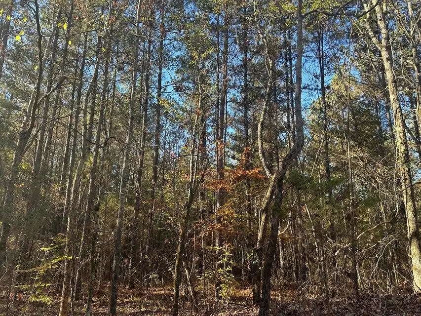 00 Mt Carmel Road, Decatur, TN 37322 - #3