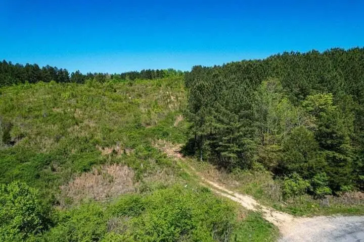 000 Cottonport Road, Decatur, TN 37322 - #3