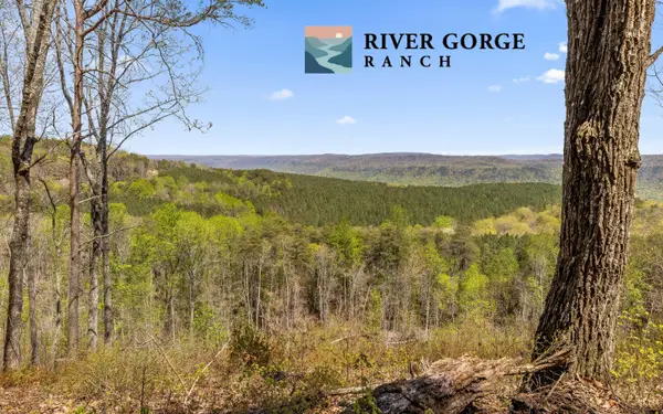 Lot 2225 High Ground Road, Guild, TN 37340