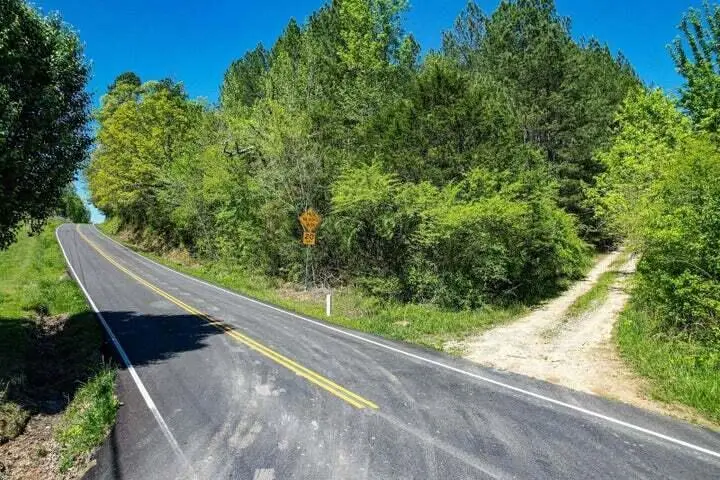 1221 Ryans Road, Decatur, TN 37322 - #2