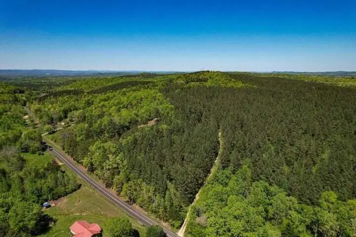 1221 Ryans Road, Decatur, TN 37322 - #3