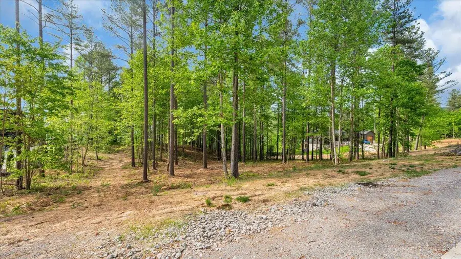 1755 Birds Eye Way #1072, Guild, TN 37340 - #2