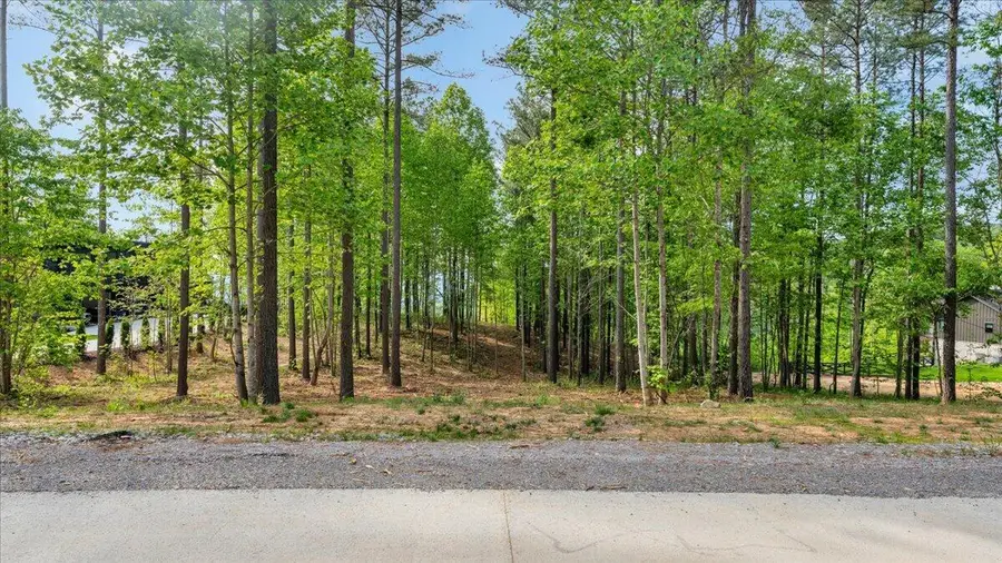 1755 Birds Eye Way #1072, Guild, TN 37340 - #3