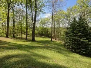 720 Whisperwood Trail Ne, Cleveland, TN 37312 - #3