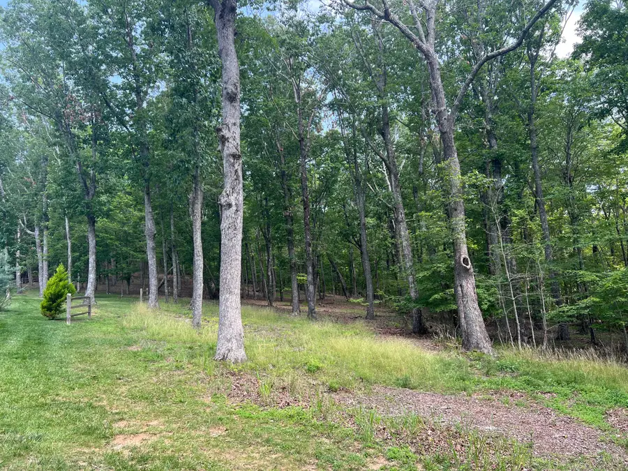 594 Lookout Crest Lane, Lookout Mountain, GA 30750 - #3