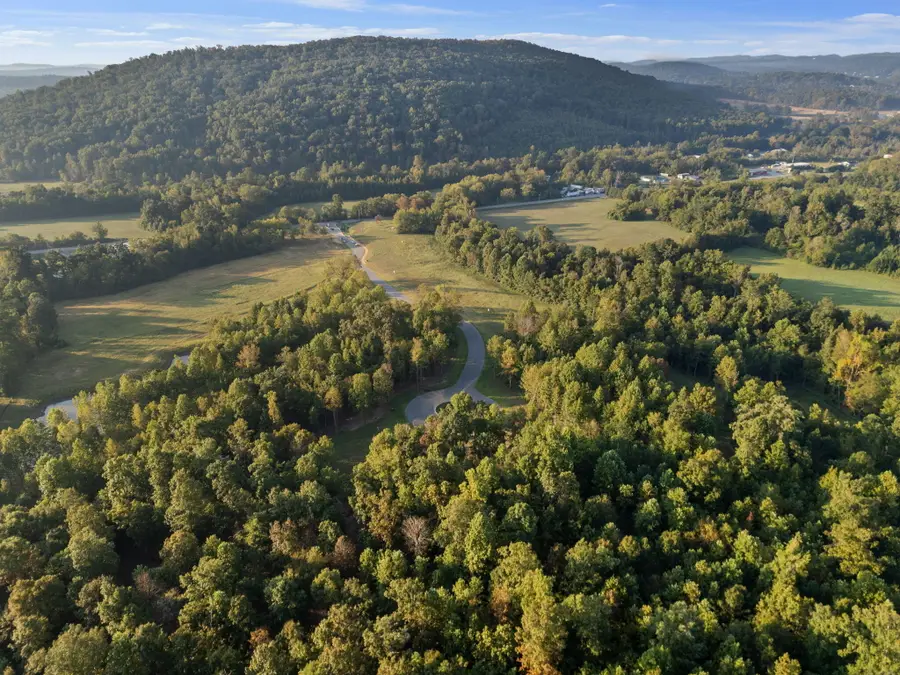 6131 Gilchrist Lane #Lot 5, McDonald, TN 37353 - #3