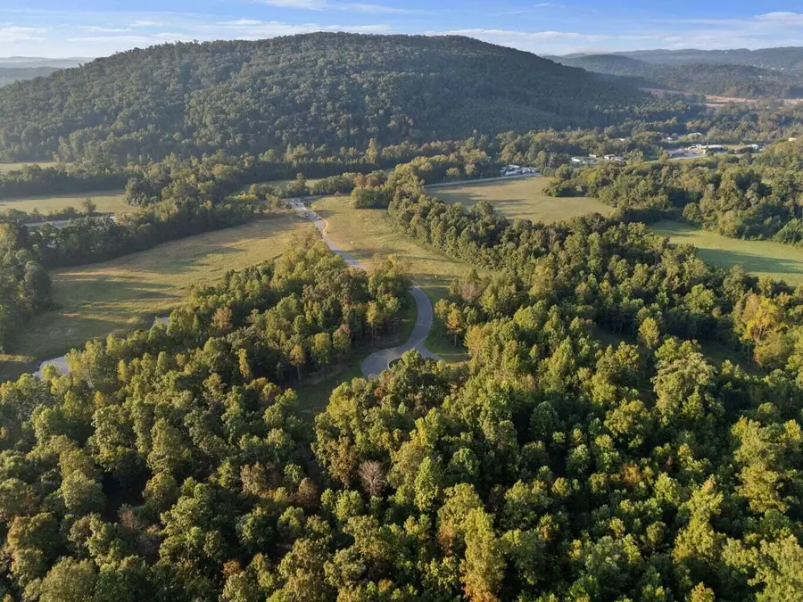 6107 Gilchrist Lane #Lot 1, McDonald, TN 37353 - #3