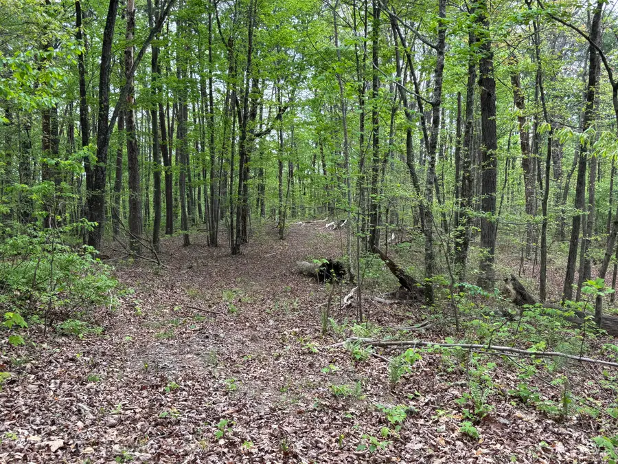 367 Leggett Road, Sale Creek, TN 37373 - #2