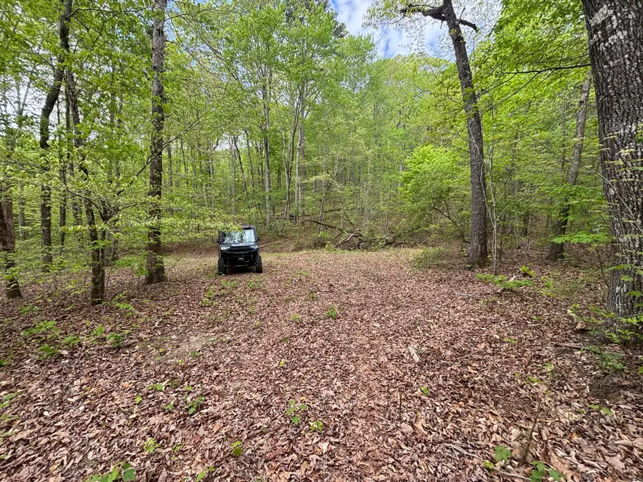 367 Leggett Road, Sale Creek, TN 37373 - #3