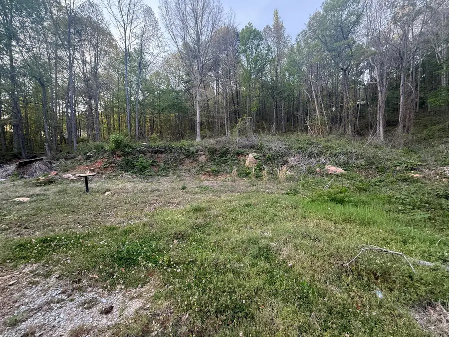 475 Hicks Hollow Road, Guild, TN 37340 - #3