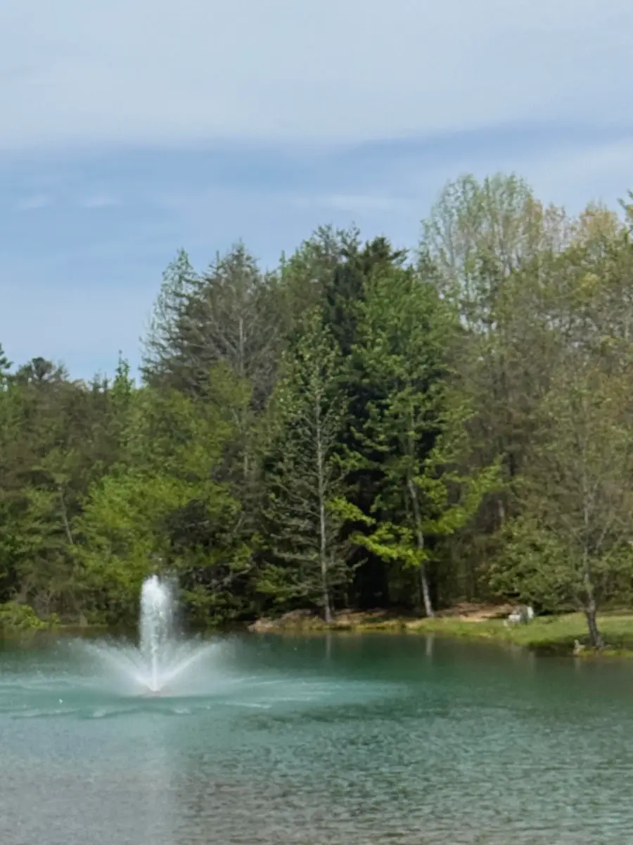 5 Ives Lake Road, Signal Mountain, TN 37377 - #3