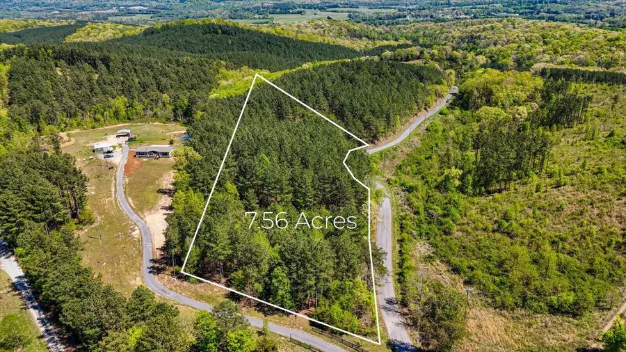 Lot 1 Rynes Road, Decatur, TN 37322 - #3