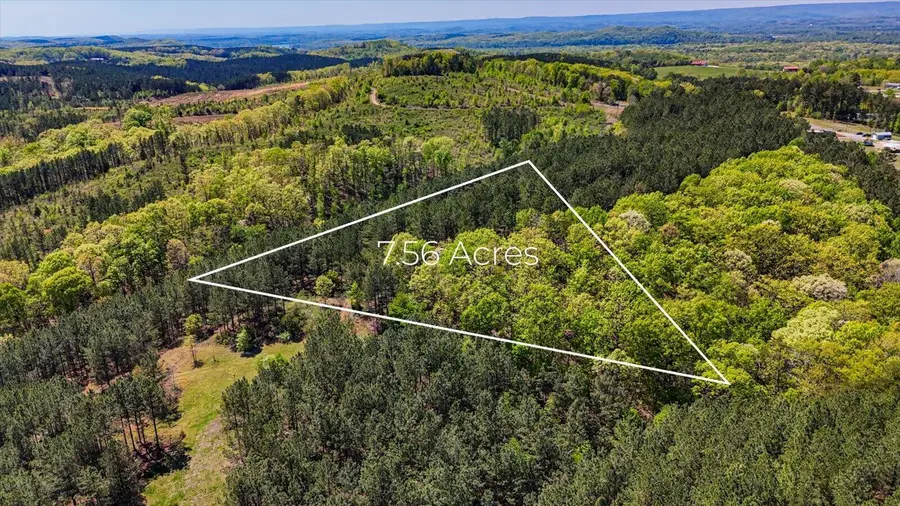 Lot 2 Rynes Road, Decatur, TN 37322 - #3