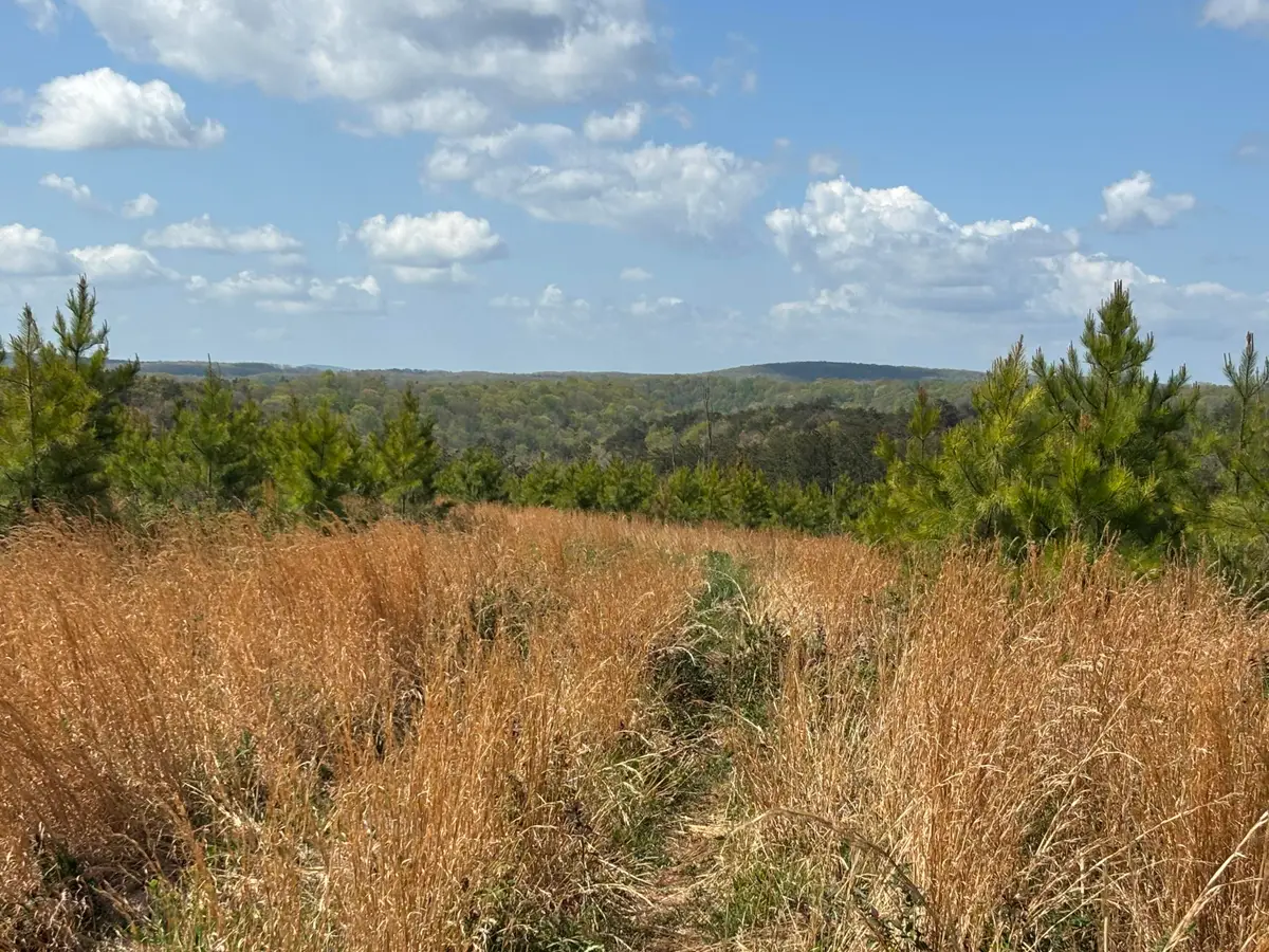 07 Fredonia Road, Dunlap, TN 37327 - #1