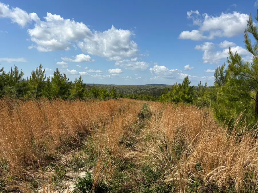 07 Fredonia Road, Dunlap, TN 37327 - #2