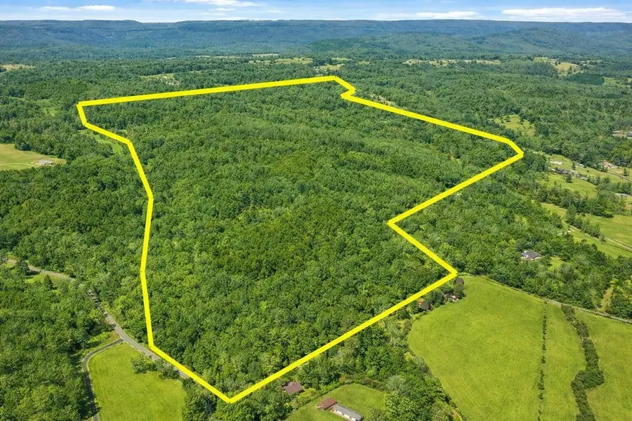 --- Andy Thomas Rd Road #187, Dayton, TN 37321 - #2