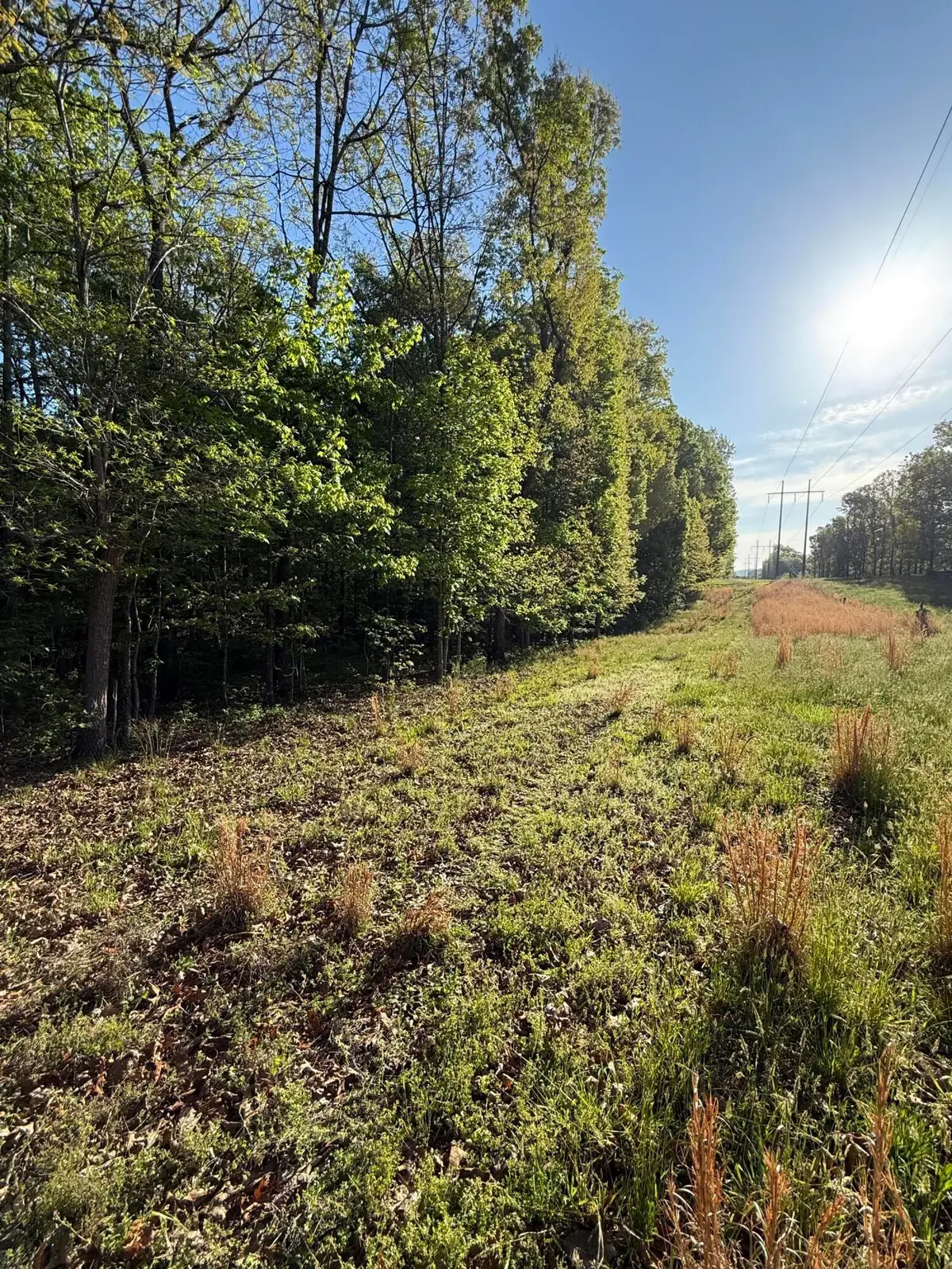 675 Lee Mason Road, Lafayette, GA 30728 - #1