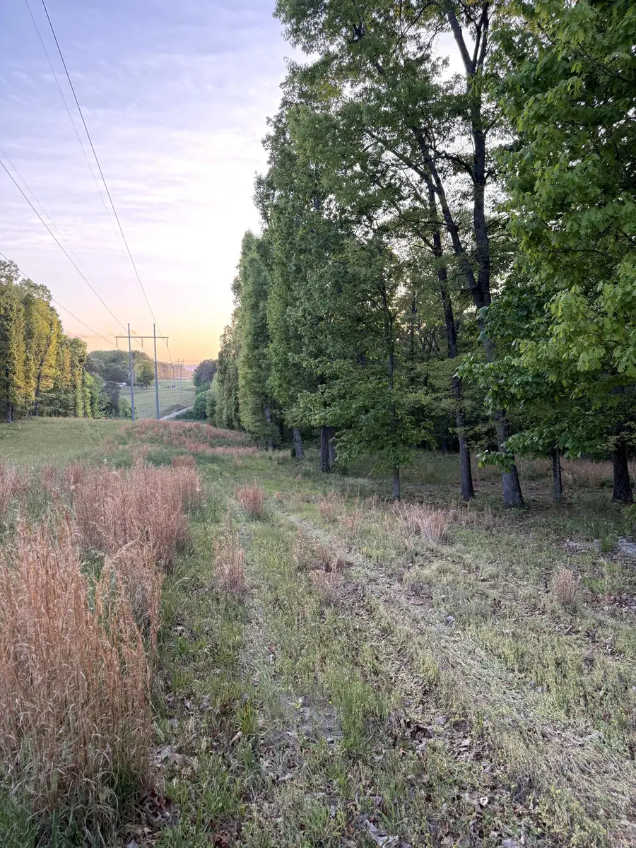 675 Lee Mason Road, Lafayette, GA 30728 - #3