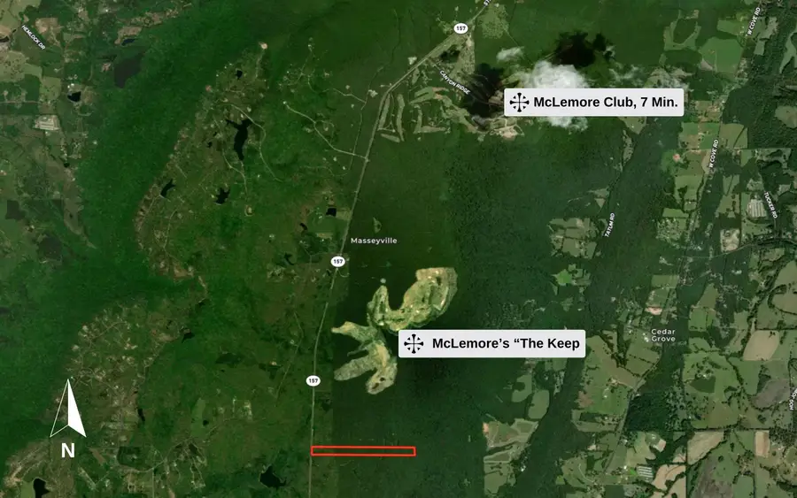 27 Acres Highway 157, Menlo, GA 30731 - #3