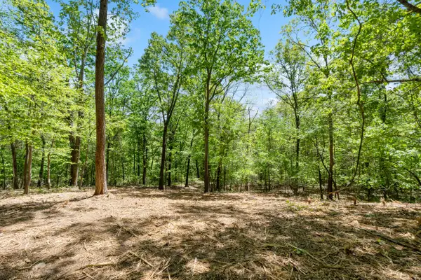 Lot 8 Mcdonald Road, McDonald, TN 37353