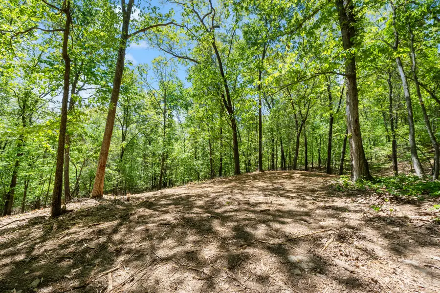 Lot 8 Mcdonald Road, McDonald, TN 37353 - #2