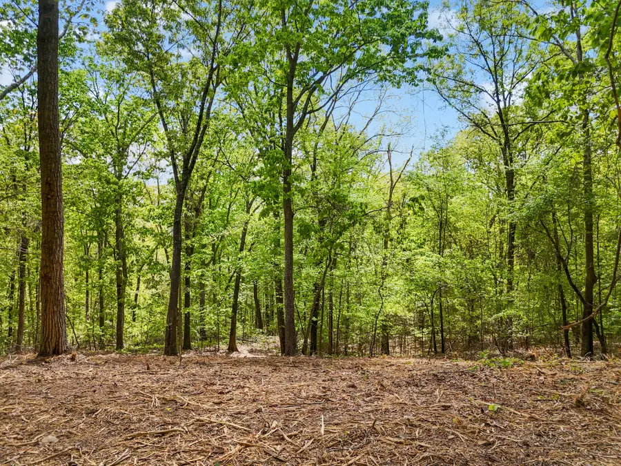 Lot 8 Mcdonald Road, McDonald, TN 37353 - #3