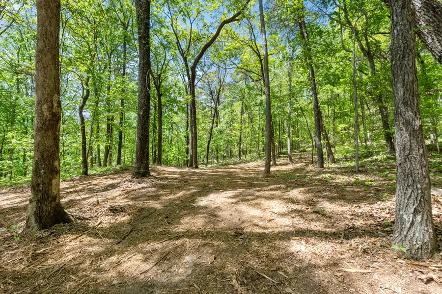 Lot 9 Mcdonald Road, McDonald, TN 37353 - #2