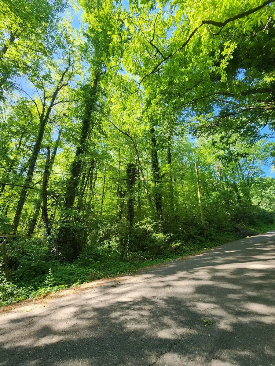 0 Gaylord Street, Red Bank, TN 37415 - #3