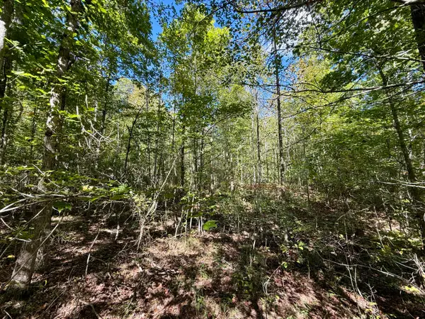 0 Owl Hollow Road #Lot 1, Palmer, TN 37365