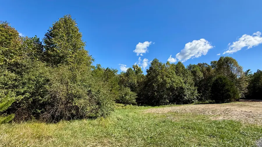 0 Owl Hollow Road #2, Palmer, TN 37365 - #2