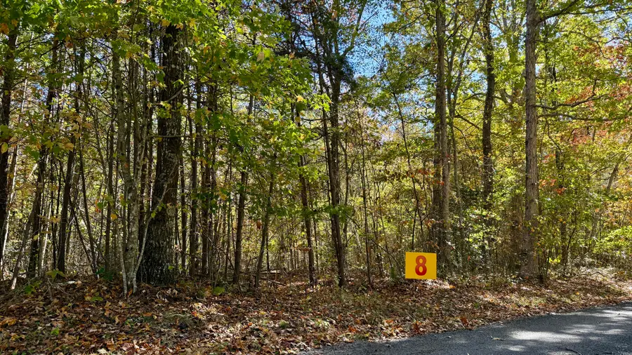 000 Owl Hollow Road #Lot 8, Palmer, TN 37365 - #2