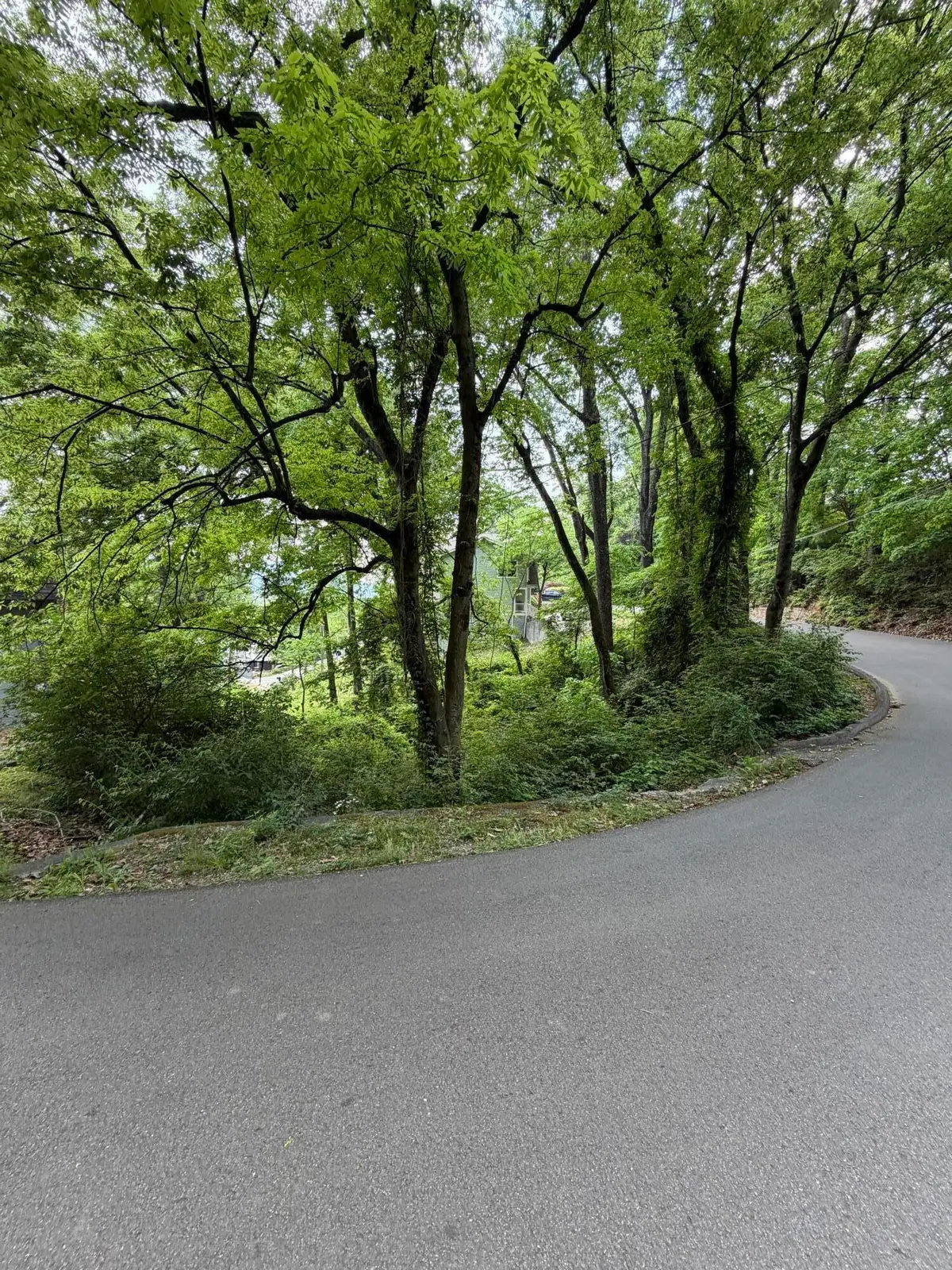 328 Pine Ridge Road, Chattanooga, TN 37405 - #1