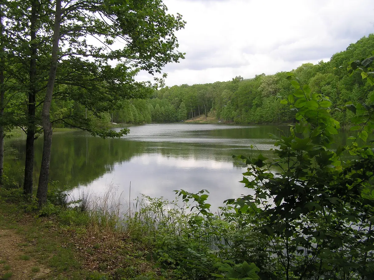 100 Valley View Drive, Altamont, TN 37301 - #1