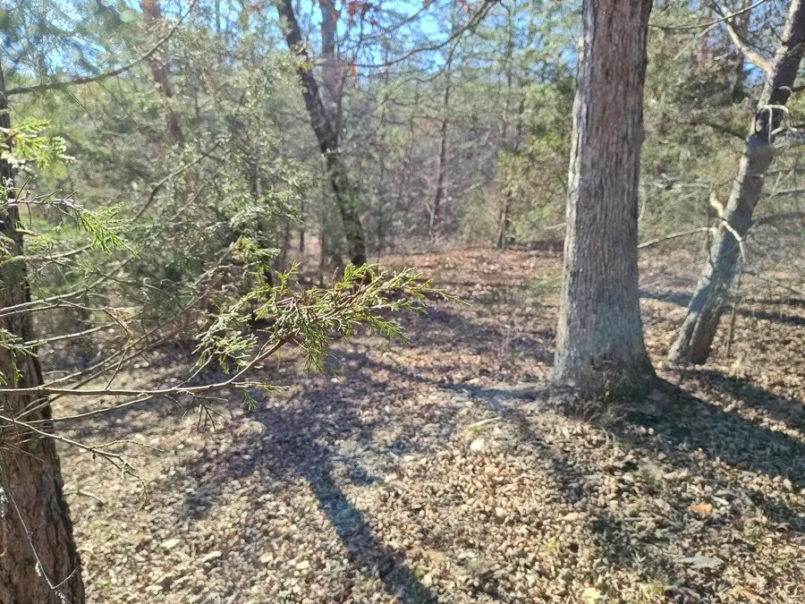 0 Skyhigh Trail #16, Dunlap, TN 37327 - #2