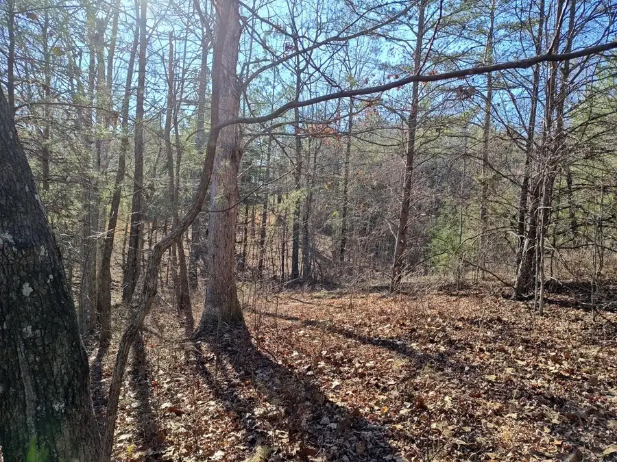 0 Skyhigh Trail #16, Dunlap, TN 37327 - #3