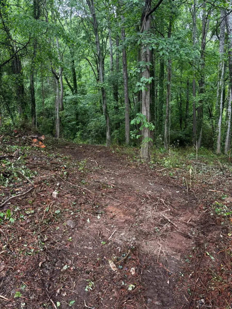 Lot 35 Ryman Ridge Road, Dalton, GA 30720 - #3