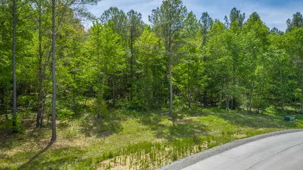 0 Birds Eye Way #Lot 1111, Guild, TN 37340