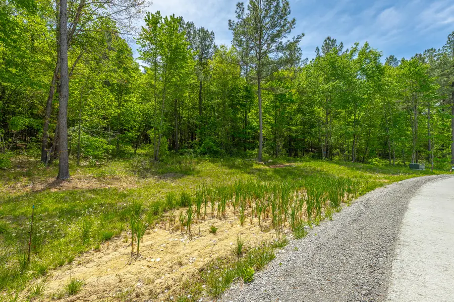 0 Birds Eye Way #Lot 1111, Guild, TN 37340 - #2