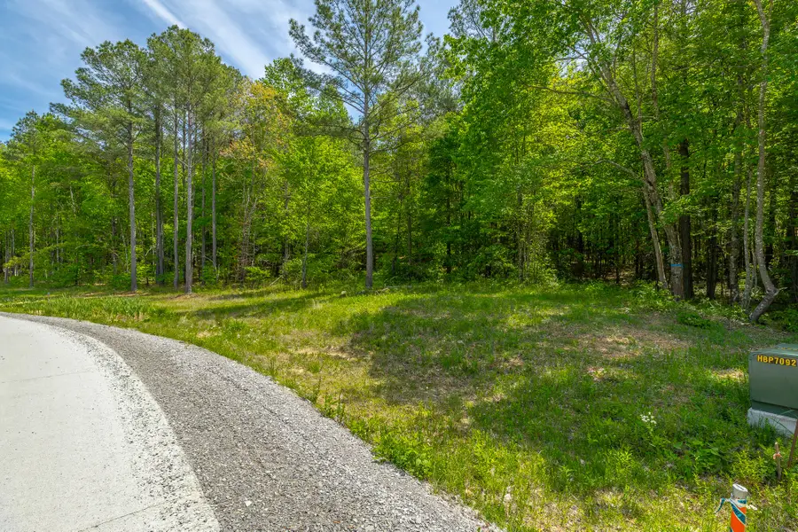 0 Birds Eye Way #Lot 1111, Guild, TN 37340 - #3