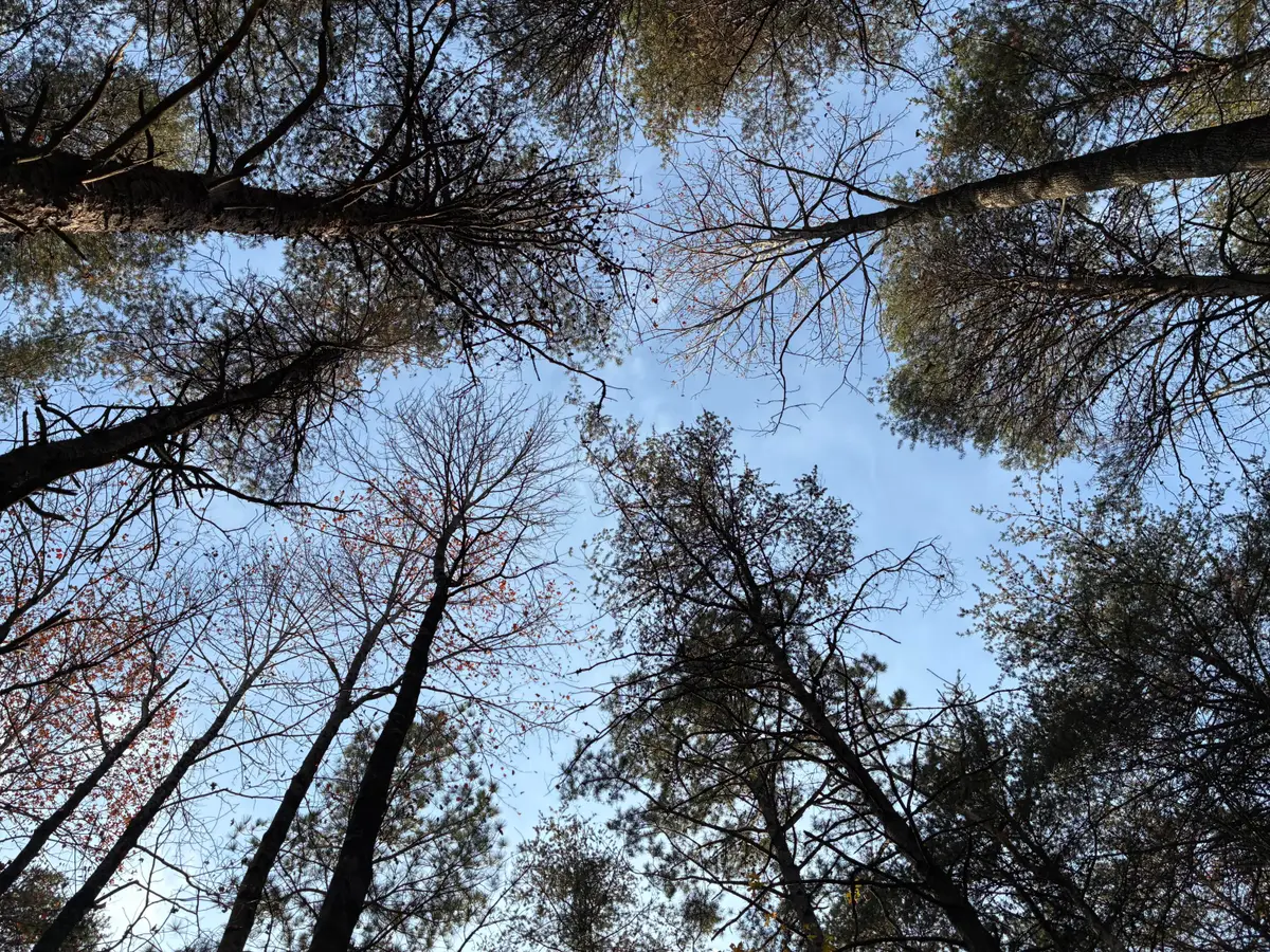 0 Bootleg Bend #2182, Guild, TN 37340 - #1