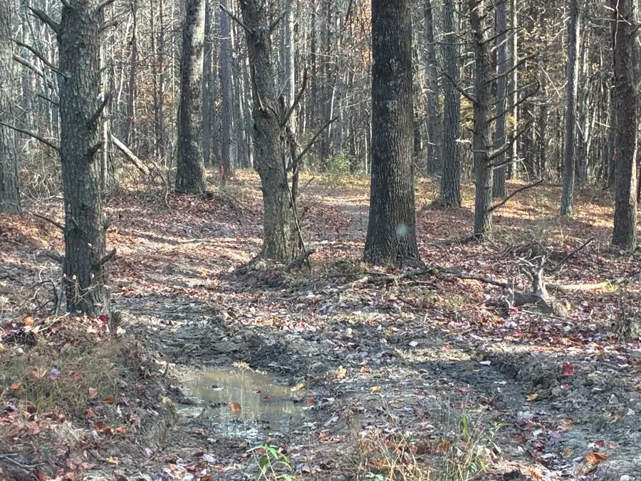 0 Bootleg Bend #2182, Guild, TN 37340 - #2