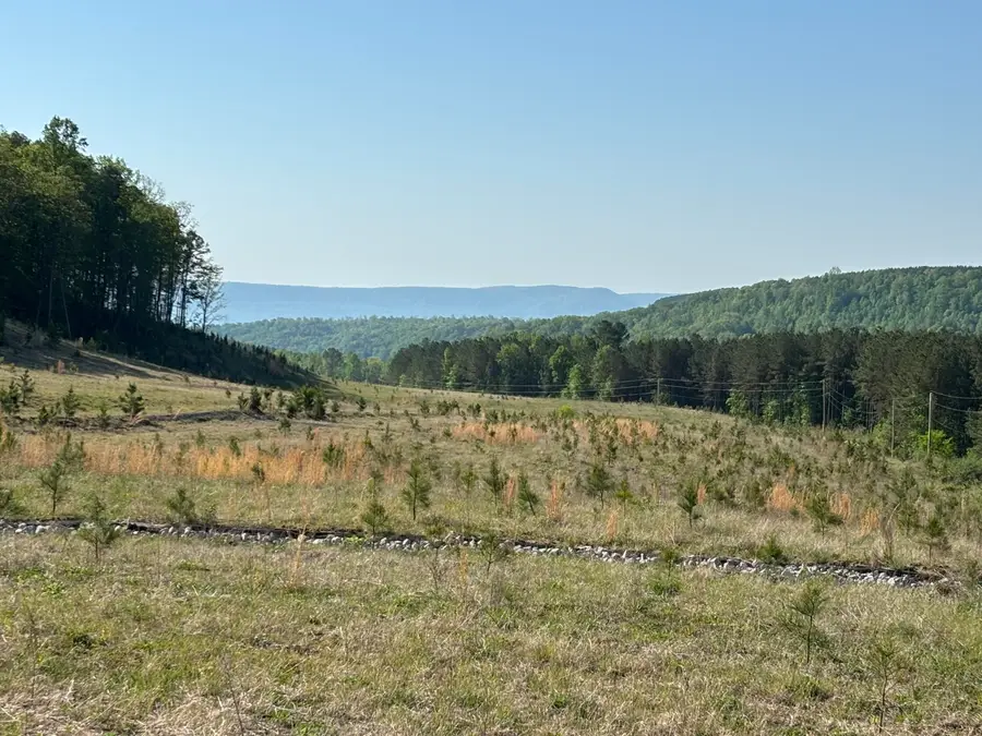 866 Bowater Rd, Pikeville, TN 37367 - #2