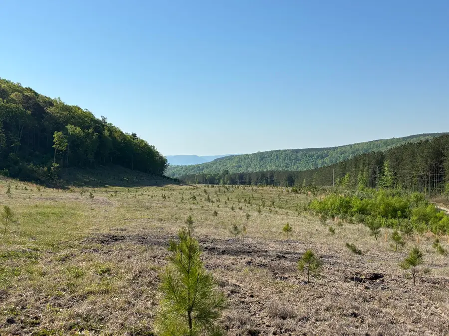 866 Bowater Rd, Pikeville, TN 37367 - #3