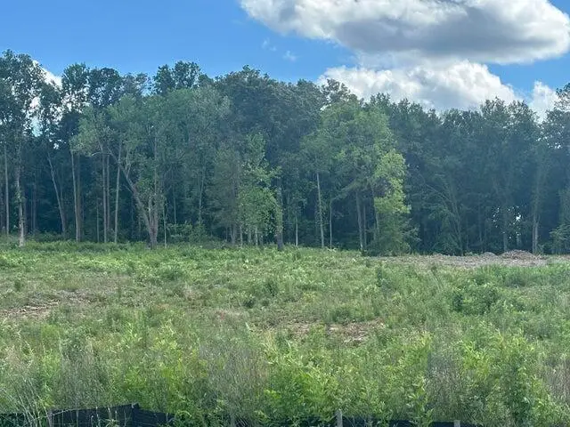 23 Acres Michigan Avenue Road Ne, Cleveland, TN 37323 - #3