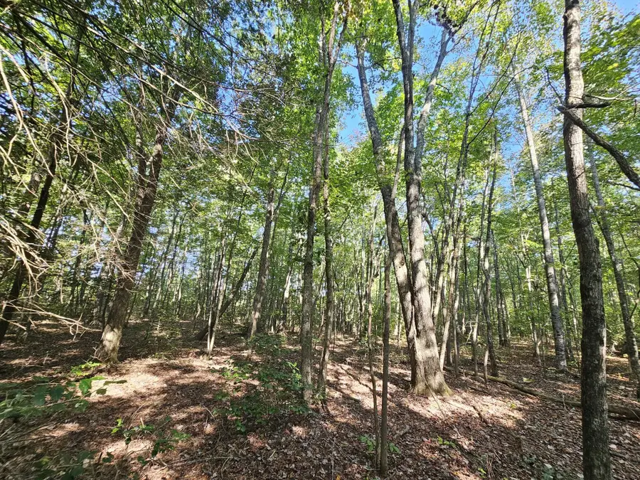 108 Sr, Gruetli Laager, TN 37339 - #3