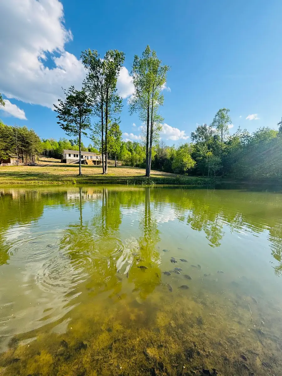 197 Echo Point Road, Dunlap, TN 37327 - #2