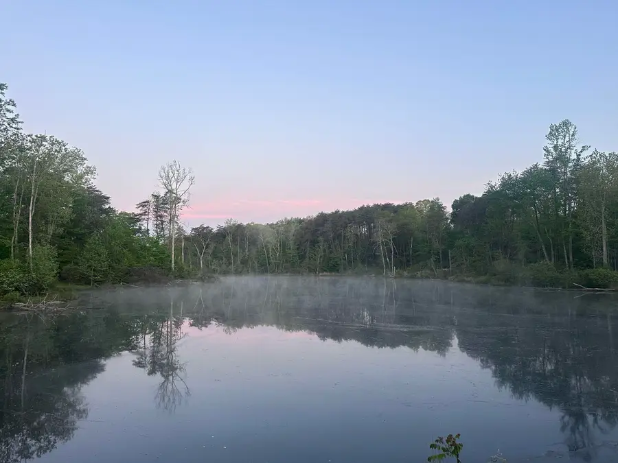 44 Dwellings Drive #Lot 179, Tracy City, TN 37387 - #3