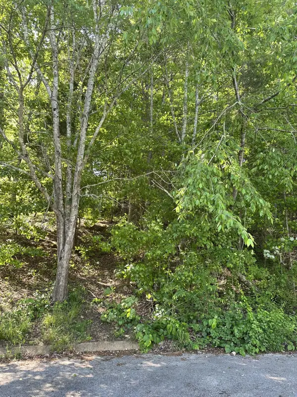6900 Spinmaker Cove, Ooltewah, TN 37363