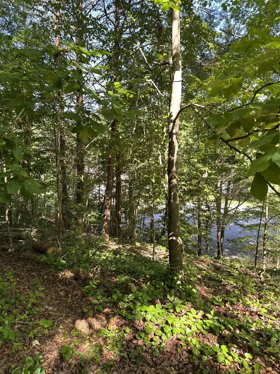 6900 Spinmaker Cove, Ooltewah, TN 37363 - #2