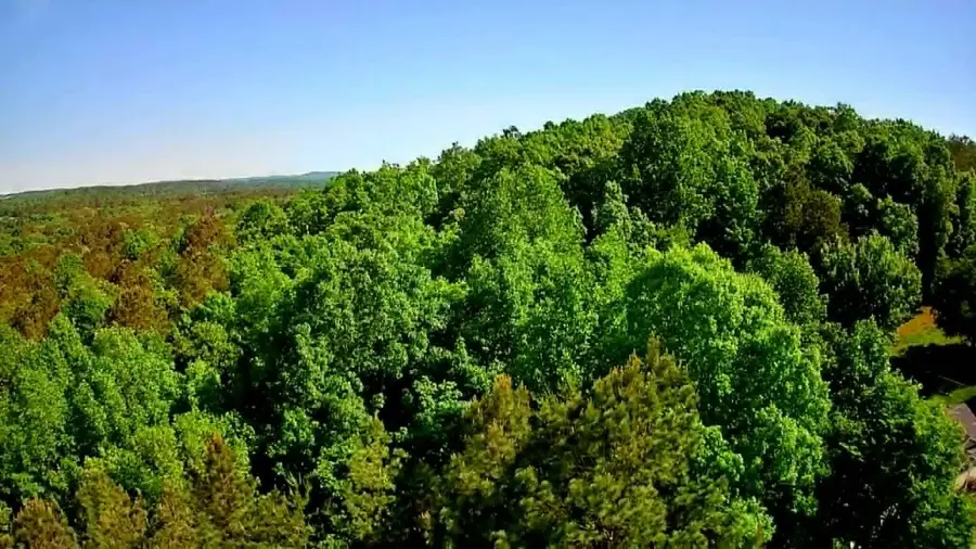 302 Timberland Trail, Ringgold, GA 30736 - #3